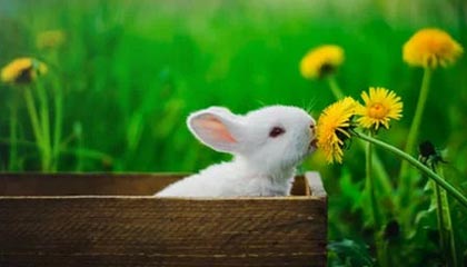 B体育下载-朱婷助球队拿下关键战女排世界杯，朱婷女排吧 朱婷个站