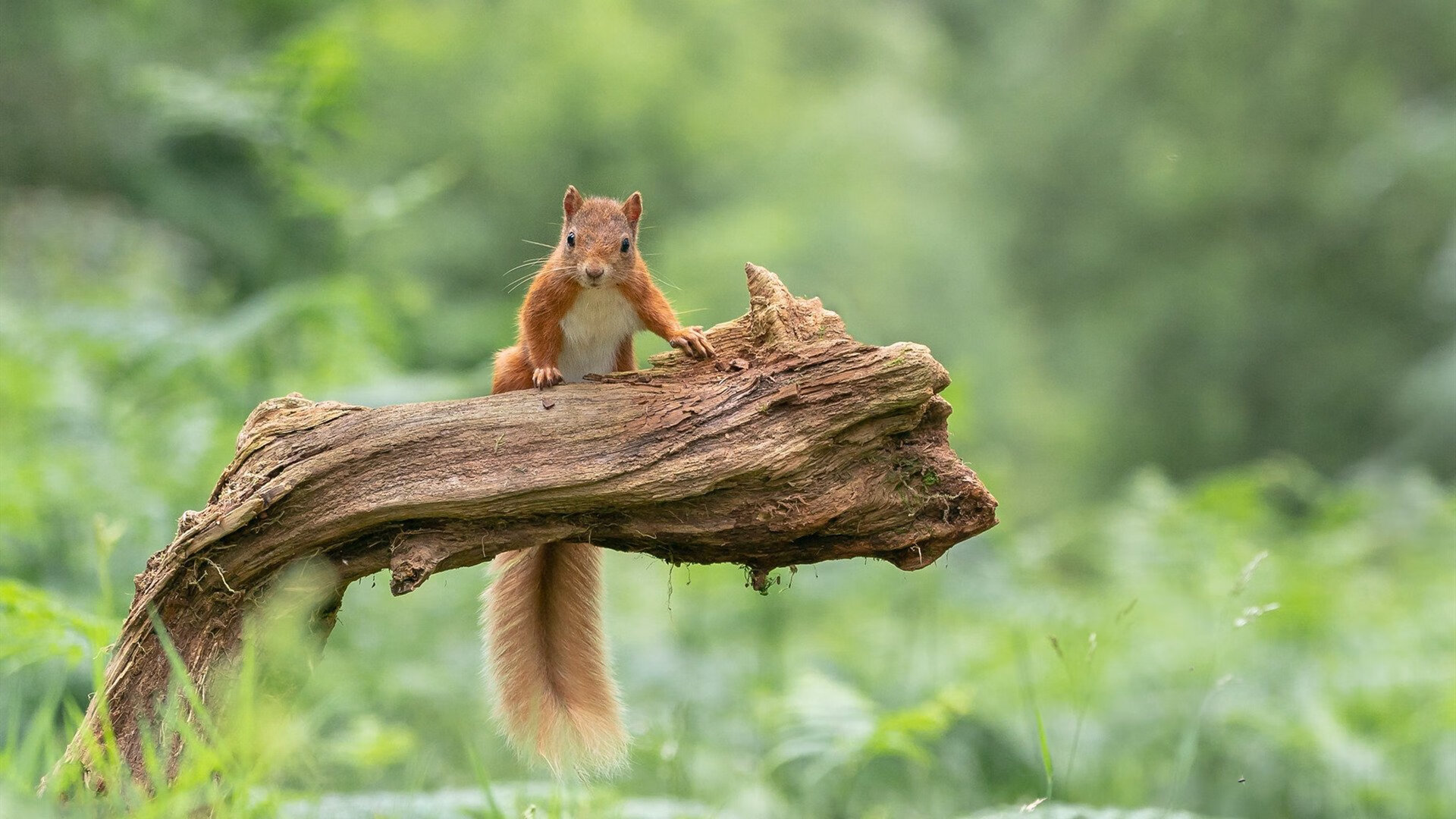 B体育网页版登录-_热火防守坚如磐石，赢得关键比赛_，热火队防守