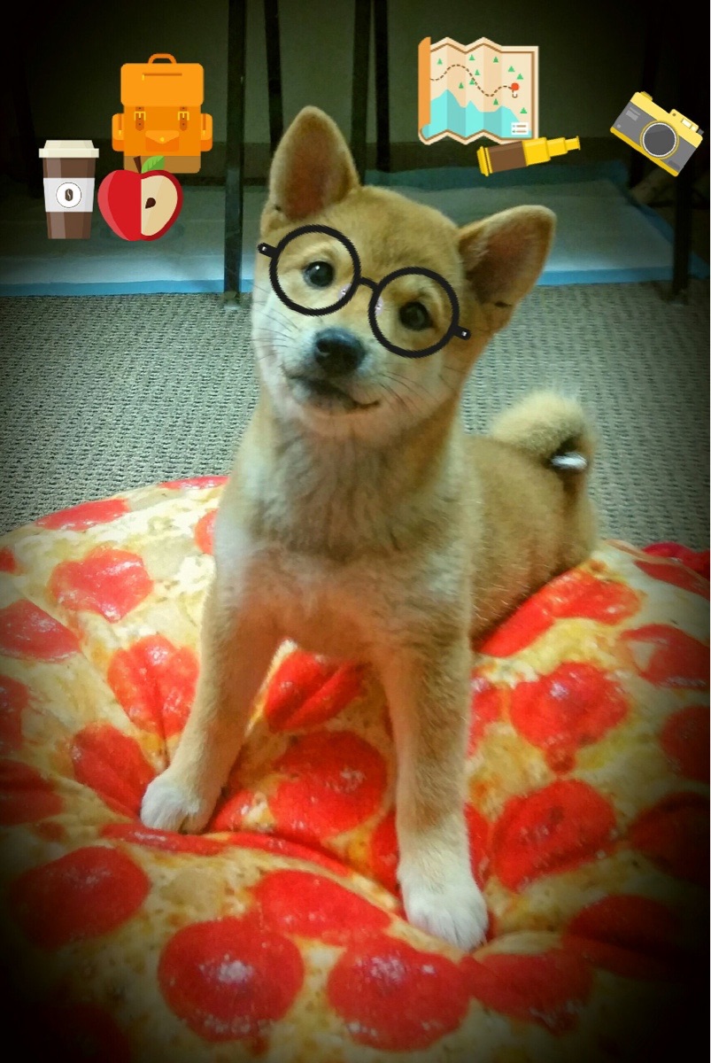 b体育app-“农村青少年足球普及工程稳步推进，惠及边远地区”，青少年足球普及知识