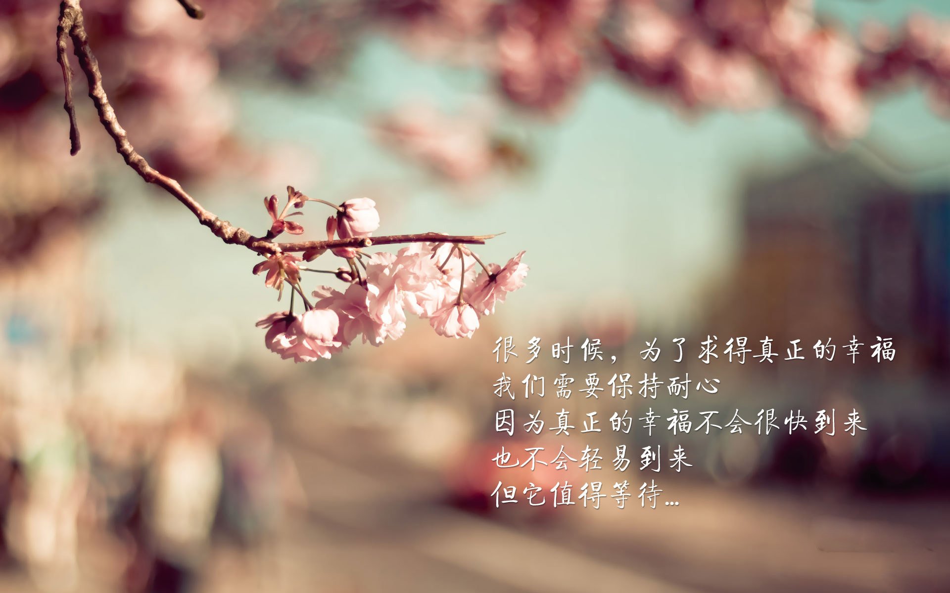 【道奇队的打击火力】全队合力轰出20+全垒打,道奇队主力