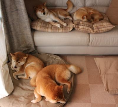 【银光闪闪】The Seattle Mariners' Julio Rodriguez热血表现引发热议，银光闪闪后面是什么