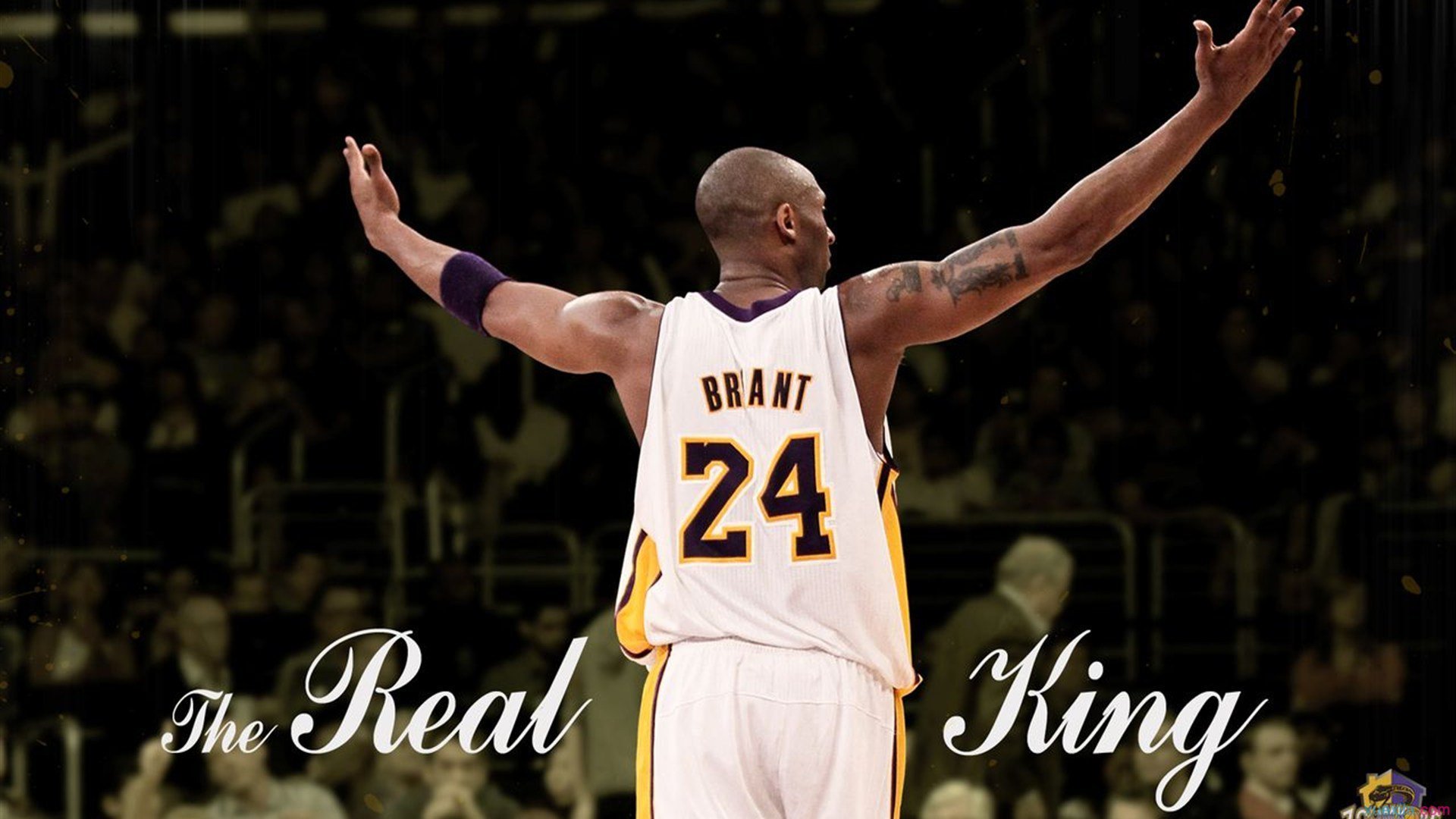 公牛队更换官方字体,致敬90年代黄金时代,公牛队现在改名叫什么