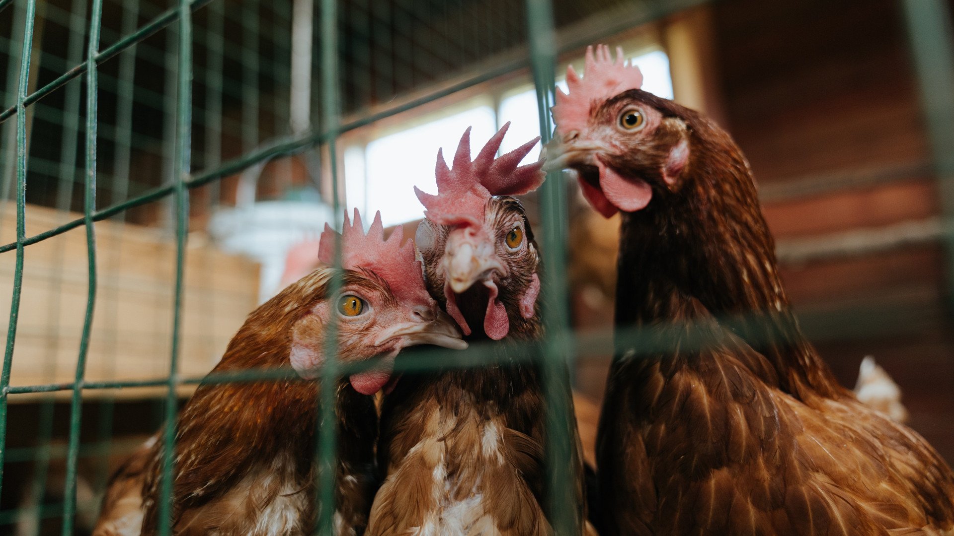 小镇特色水上漂流,挑战自然水域的趣味运动,水上漂流项目