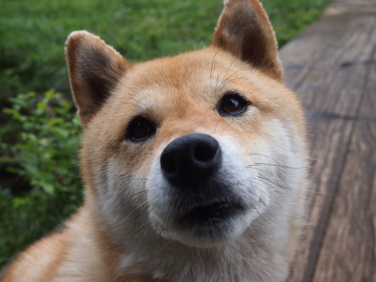 曼联豪掷千万引援攻线,高价补强决心坚定,曼联新赛季引援