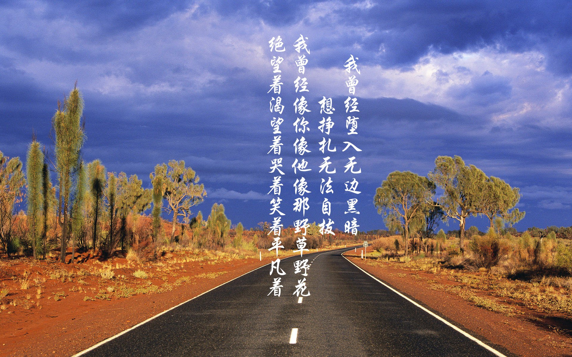 球员特写：细数联盟中的技术天才，球星技能