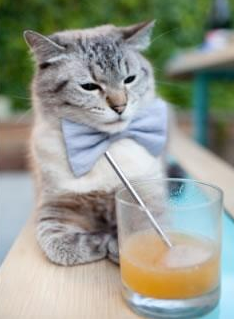 球员状态：谁能在季后赛中持续爆发？，季后赛最强球员