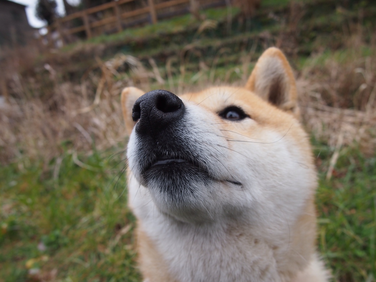 b体育官方网站-球员的成长支撑：青训体系中的“秘密武器”，青训球员标准