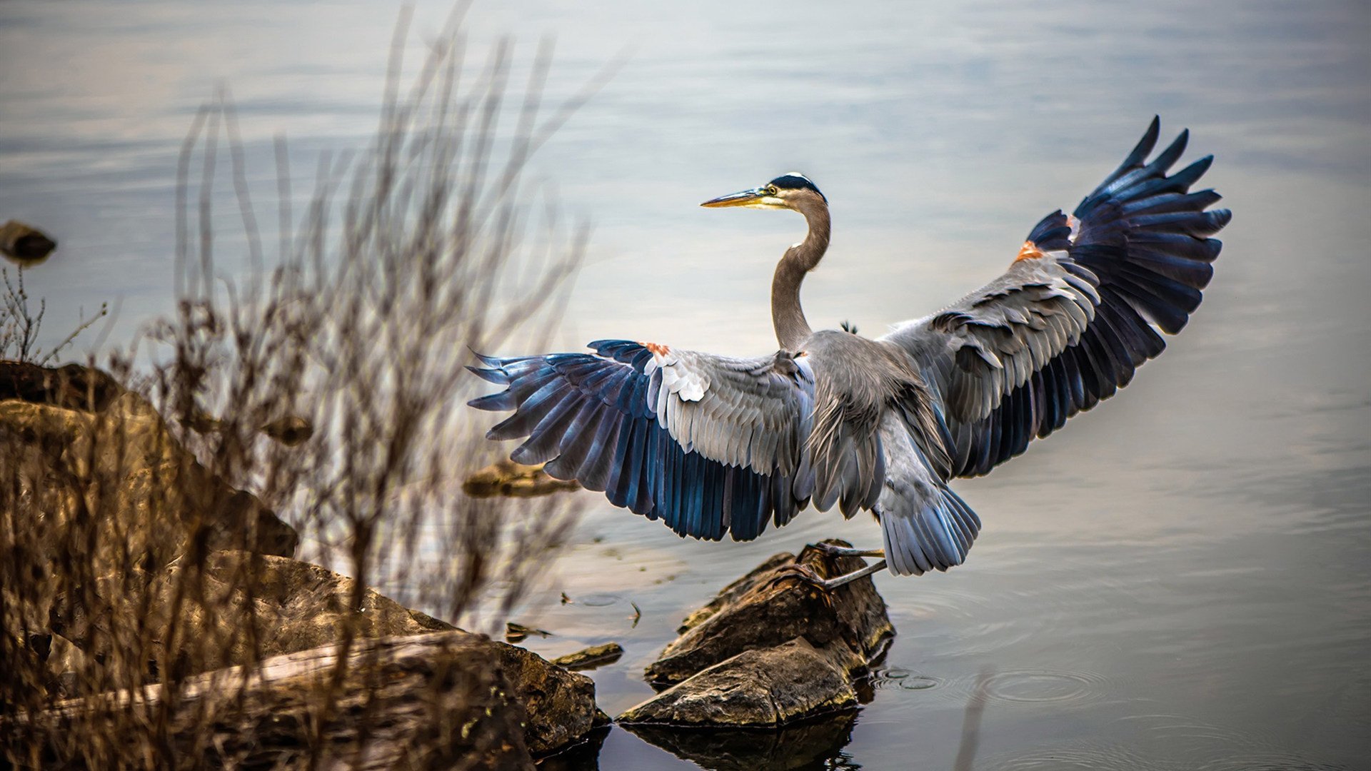 英格兰打破质疑，奥运完成自我救赎，英格兰参加奥运会