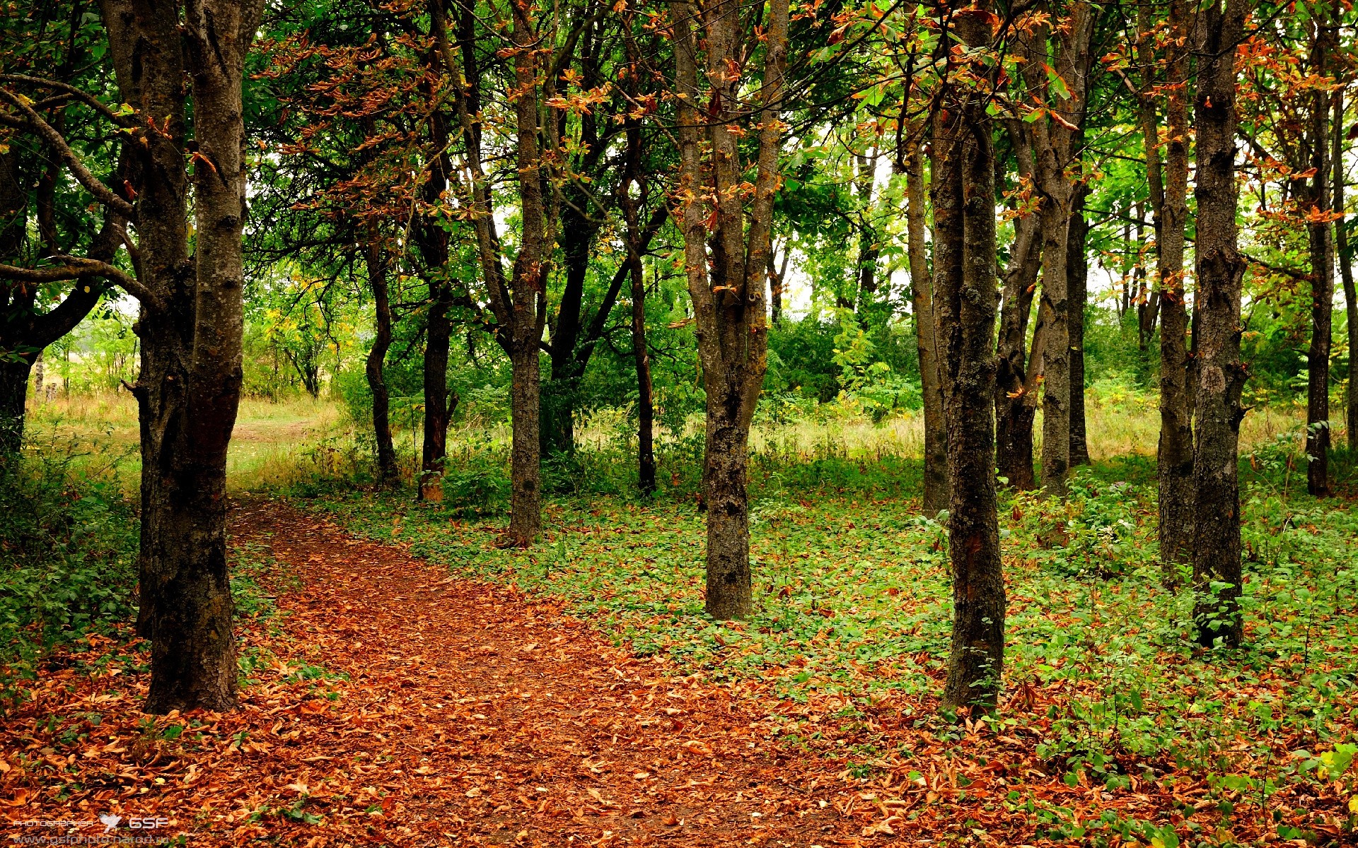 边远地区足球基础设施逐步完善,普及率大幅提升,足球边缘