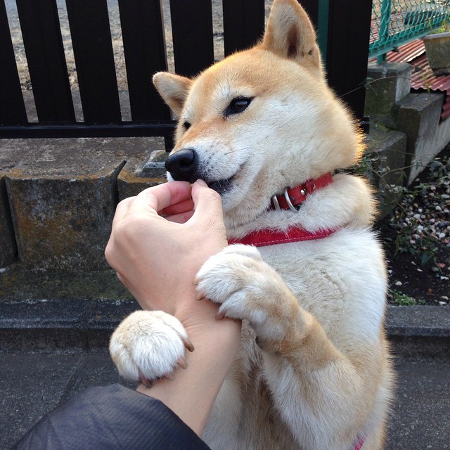 青少年篮球比赛配套培训课程全面开设,助力运动技能提升,青少年篮球培训课程安排