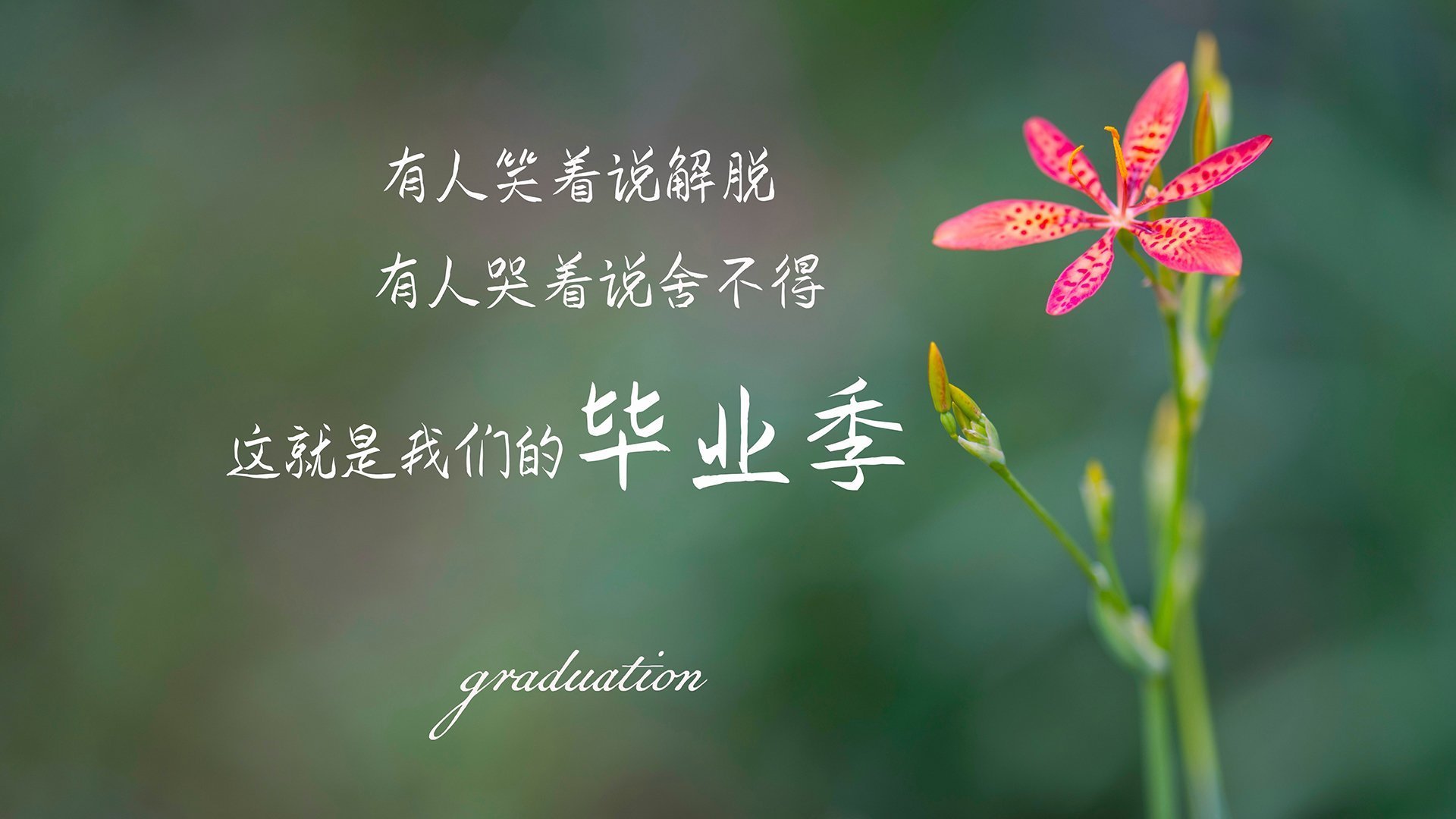 青少年篮球竞赛激发创造力,培养多样性运动能力,青少年篮球活动