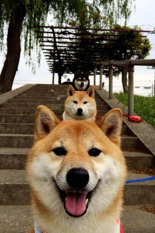 青少年篮球联赛全国巡回赛逐步推进，扩大影响力，全国青少年篮球俱乐部比赛