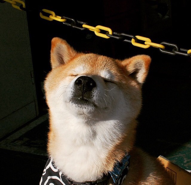 中国反曲弓男队在射箭世界杯韩国站获得团体银牌,反曲弓奥运会比赛规则