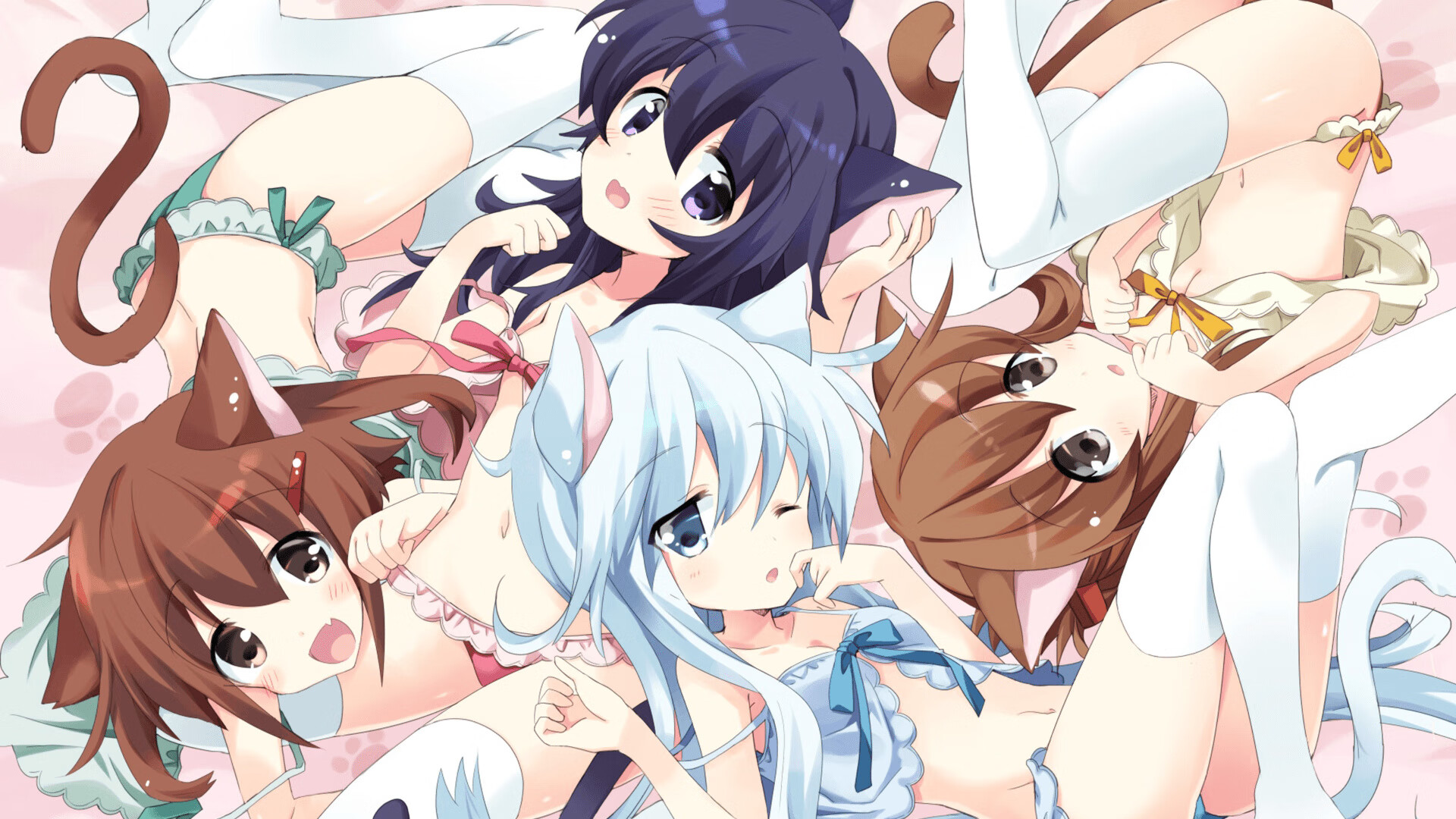 凯尔特人队球队新人发挥关键作用,凯尔特人新阵容