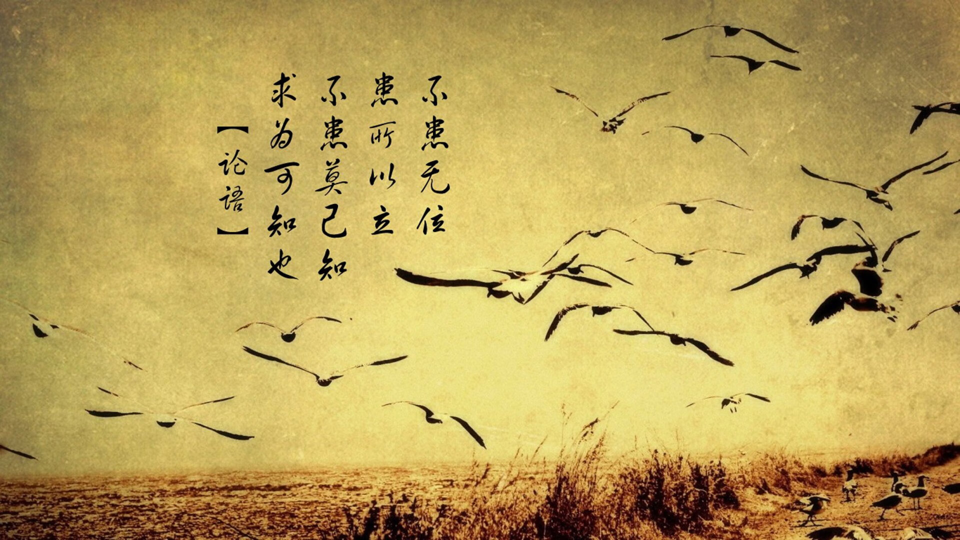 国足青训梯队建设提速，国足青训队名单