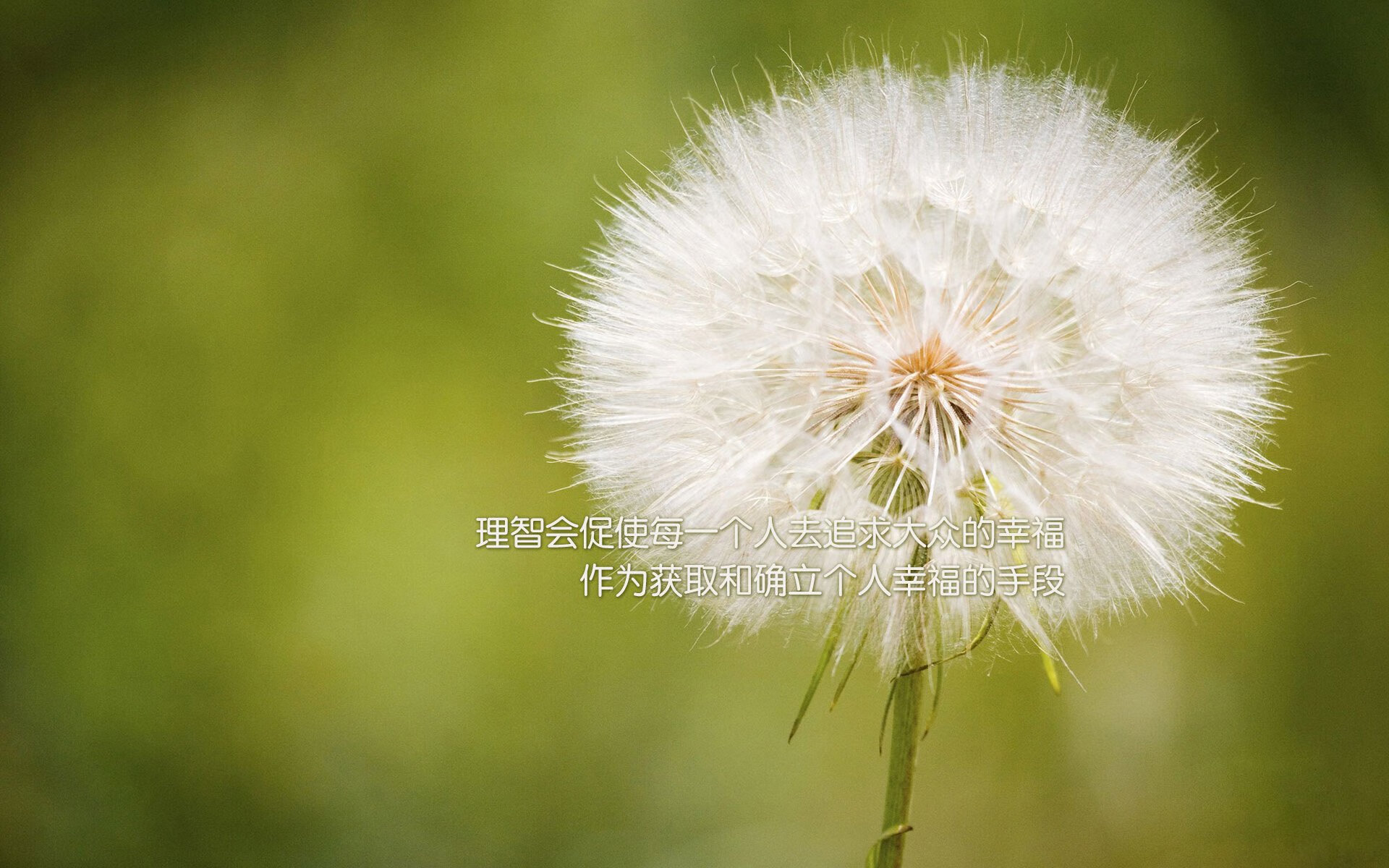 电竞职业选手营养科学指导与体能训练结合实践探索，电竞选手职业素养