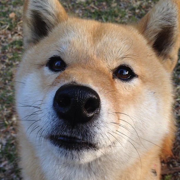篮球运动员训练负荷科学管理研究,篮球课运动负荷