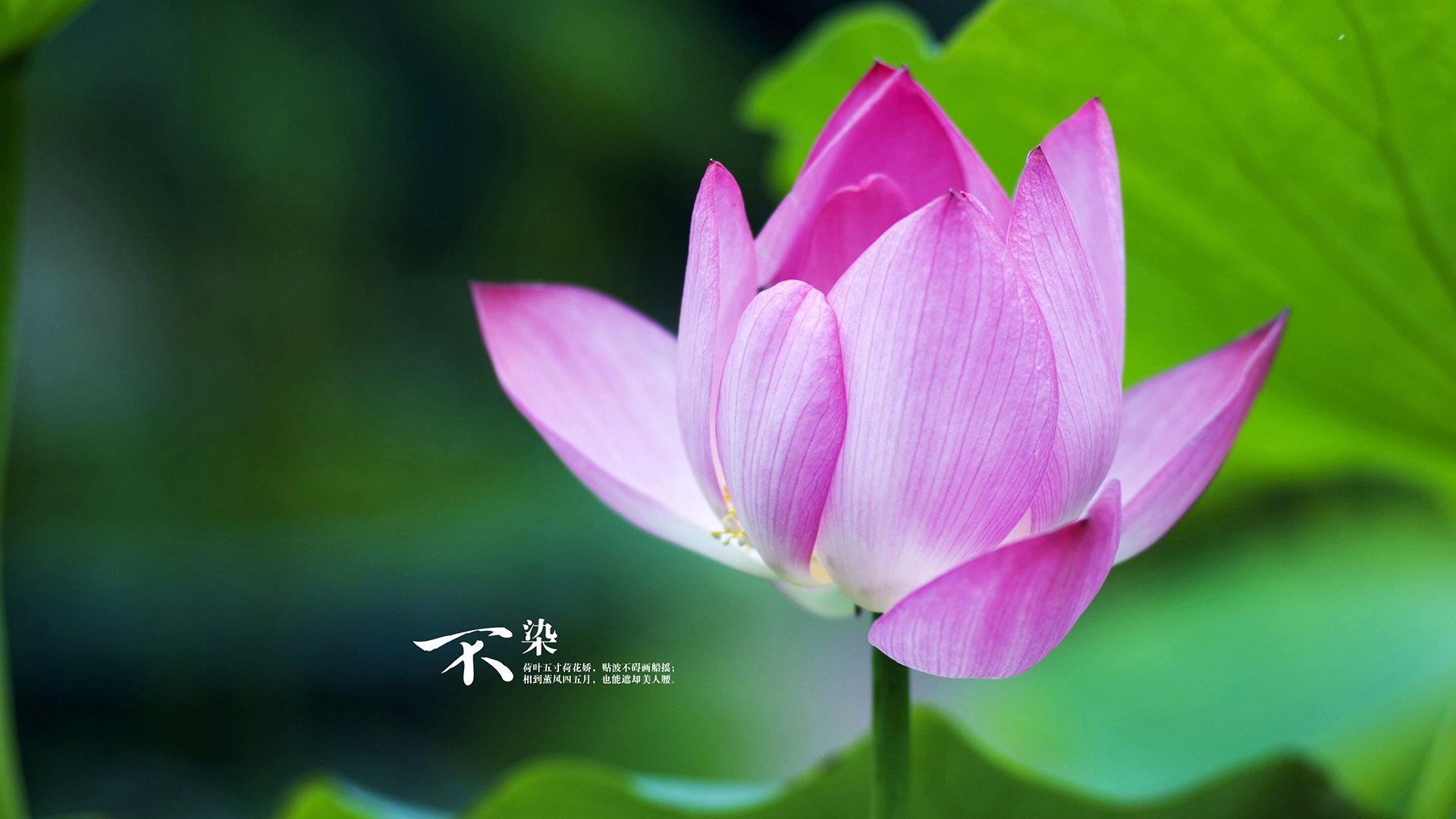 b体育入口-中国三人篮球女队关注细节训练打造体系，中国三人篮球女生