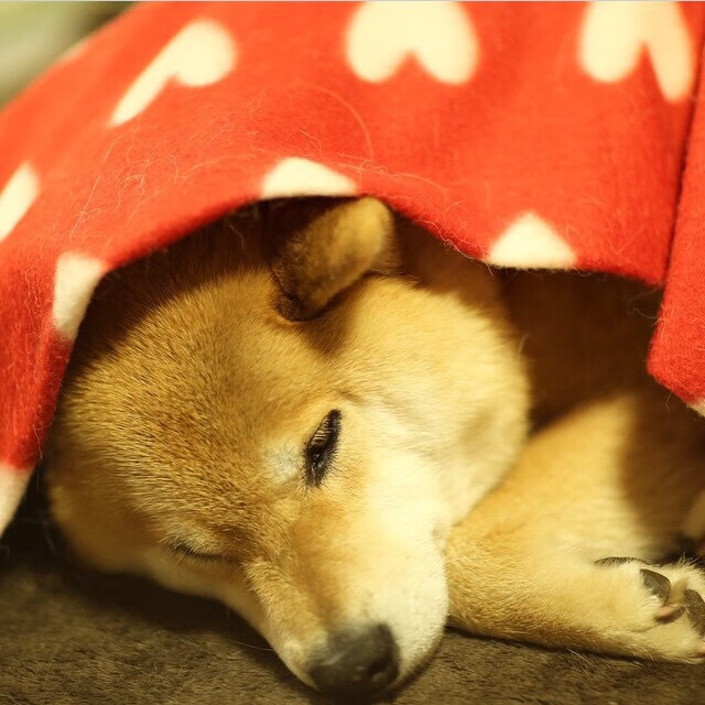 b体育娱乐-中国三人篮球男队积极完善技术动作，中国三人篮球男队战绩