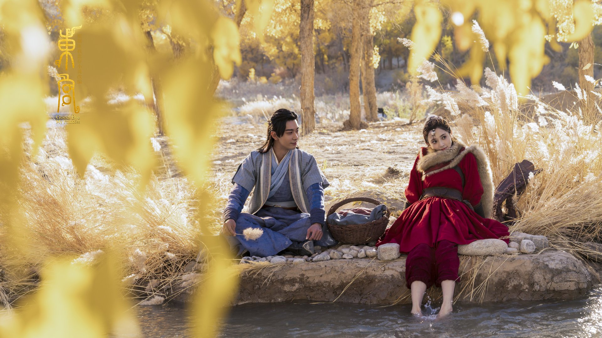 新加坡队赛制分析：团体赛制下的人员调配与技术创新，新加坡赛制实施细则