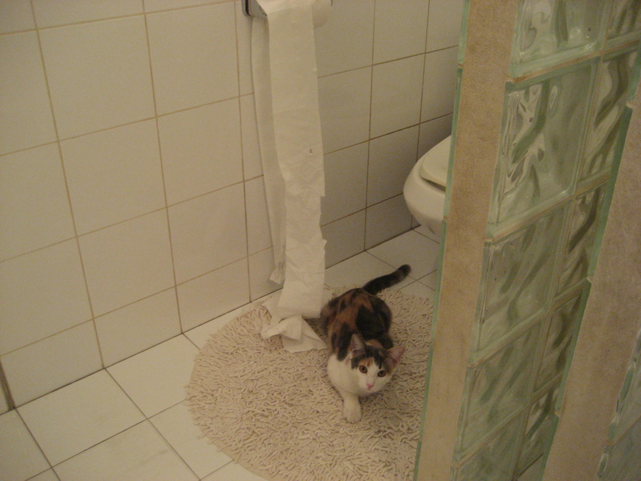 B体育中国官方平台-球星联名潮流篮球与时尚融合，球星联名的球鞋的牌子的图片