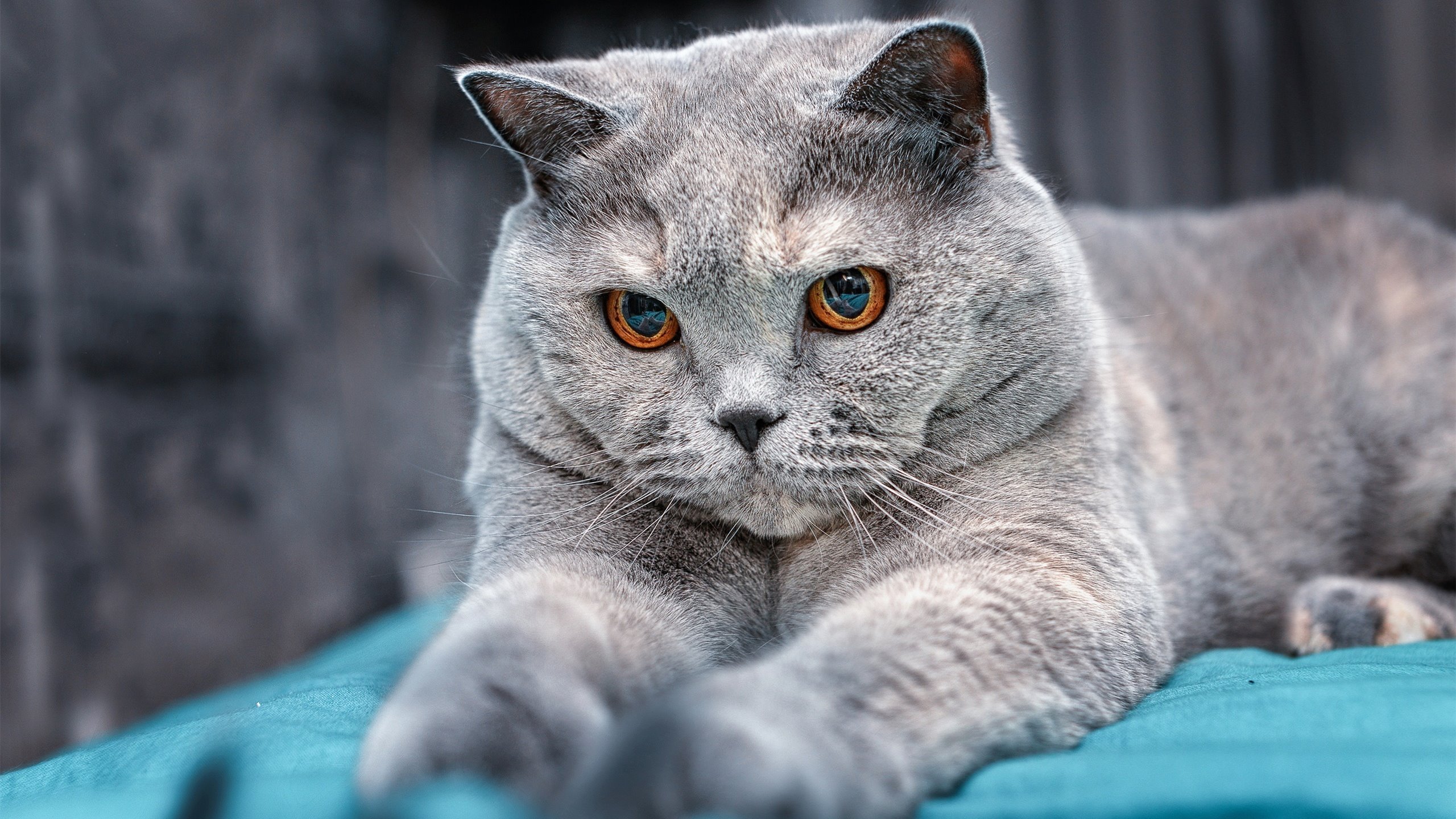 训练方法科学多样促进成绩提升，科学有效的训练方法