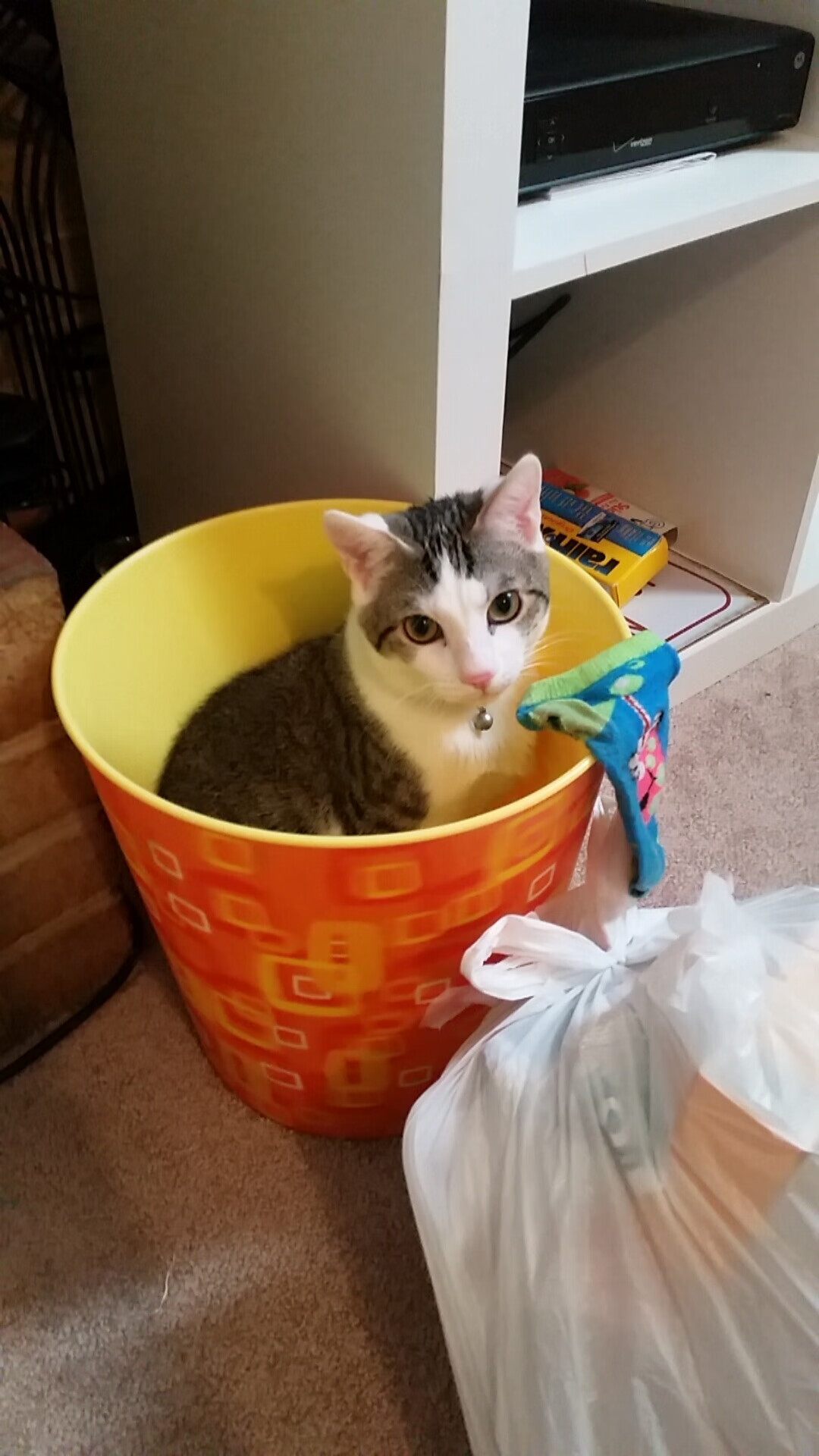 b体育官方网站-库里突破分球助攻数据持续提升，库里运球突破