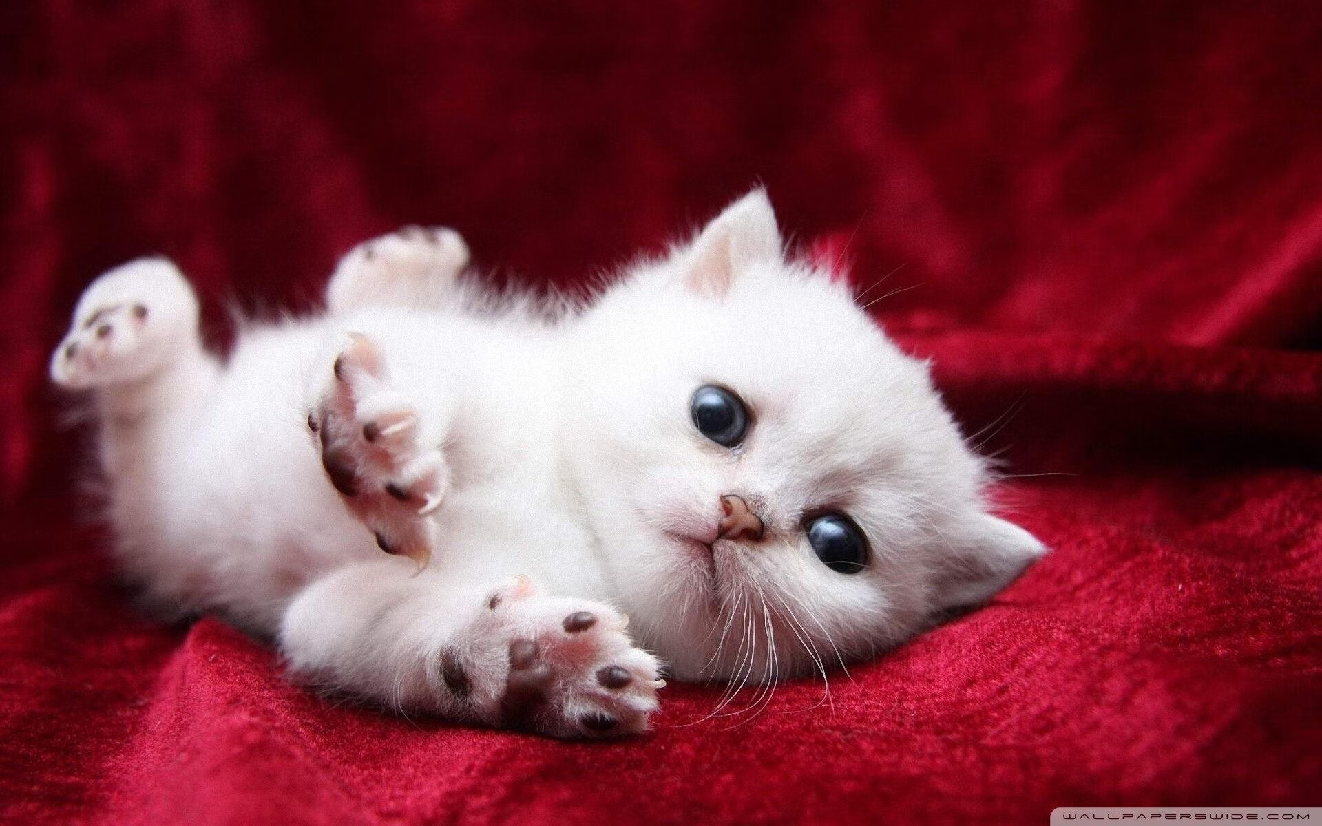 恩多比·恩乔:精准踢球和战术眼光成南非队的制胜法宝,恩多罗是哪个国家的城市