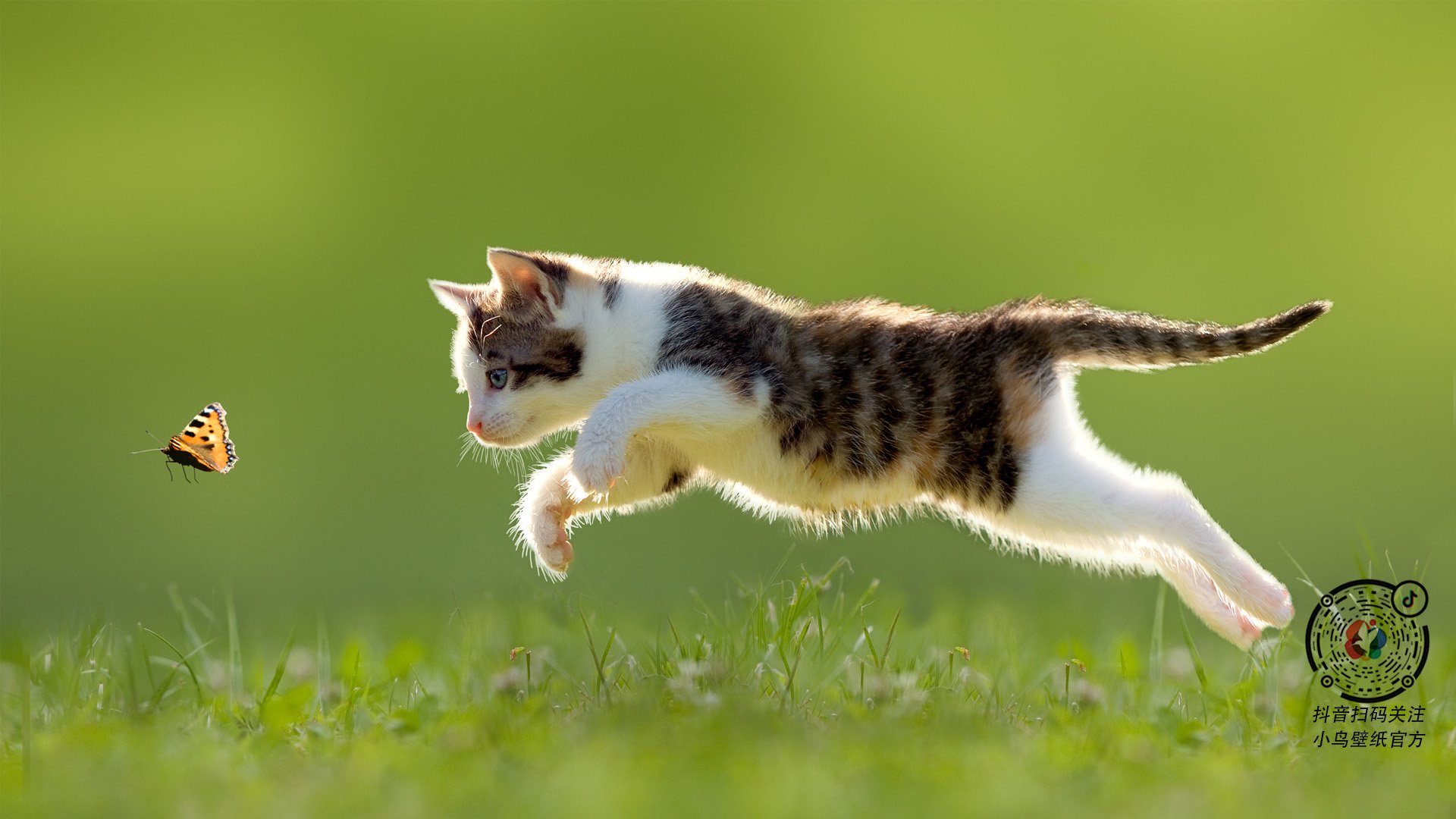 技术训练方法国际化进展明显,技术训练的常用方法有哪些