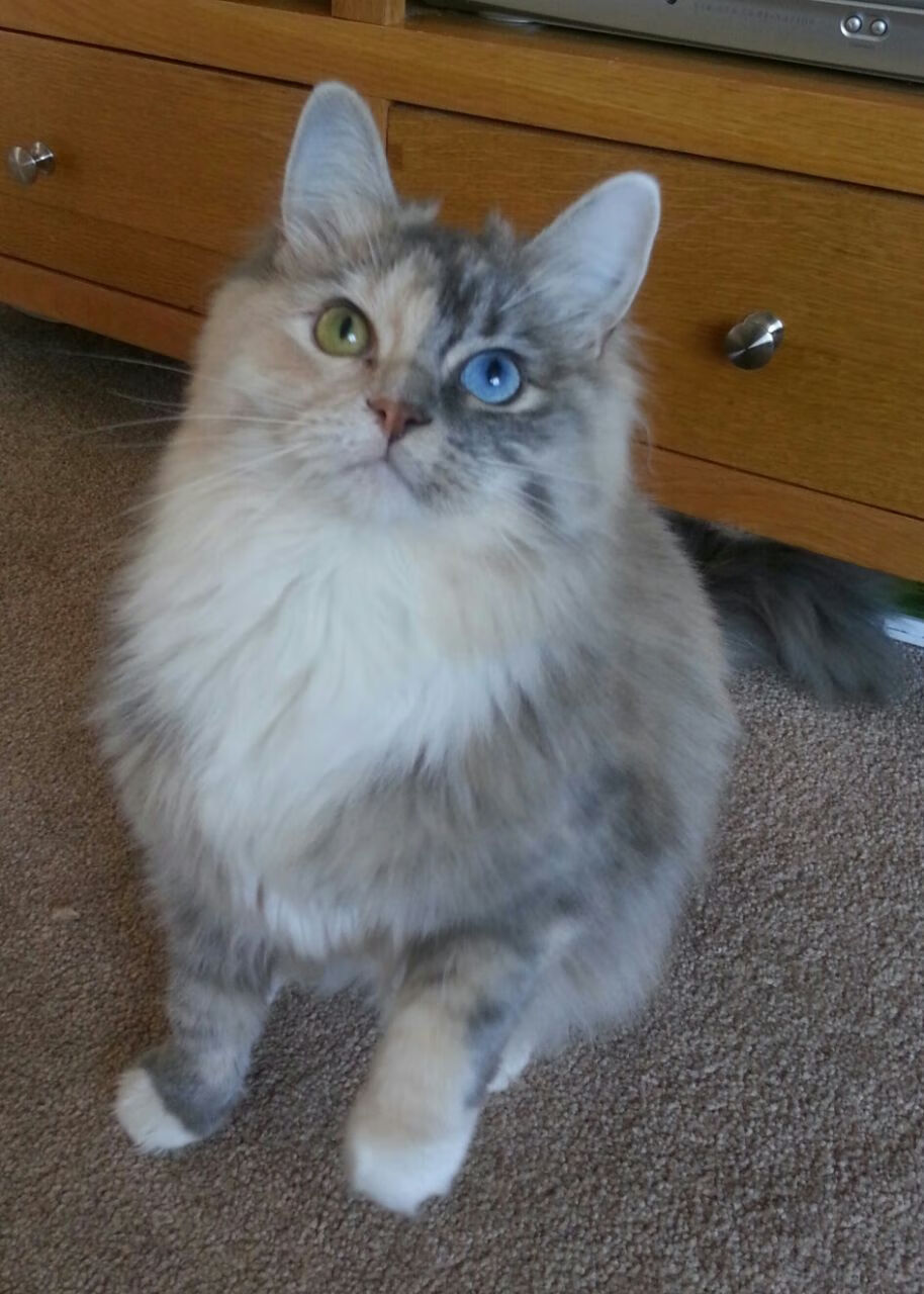 b体育在线平台-独行侠前锋封盖训练数据连续刷新队内纪录，独行侠队控卫