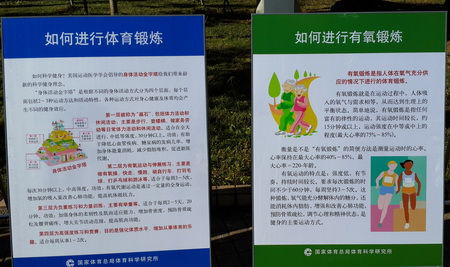 关于B体育官方网址:篮球运动科学:如何避免运动损伤,延长职业生涯?的信息 关于B体育官方网址:篮球运动科学:如何避免运动损伤,延长职业生涯?的信息